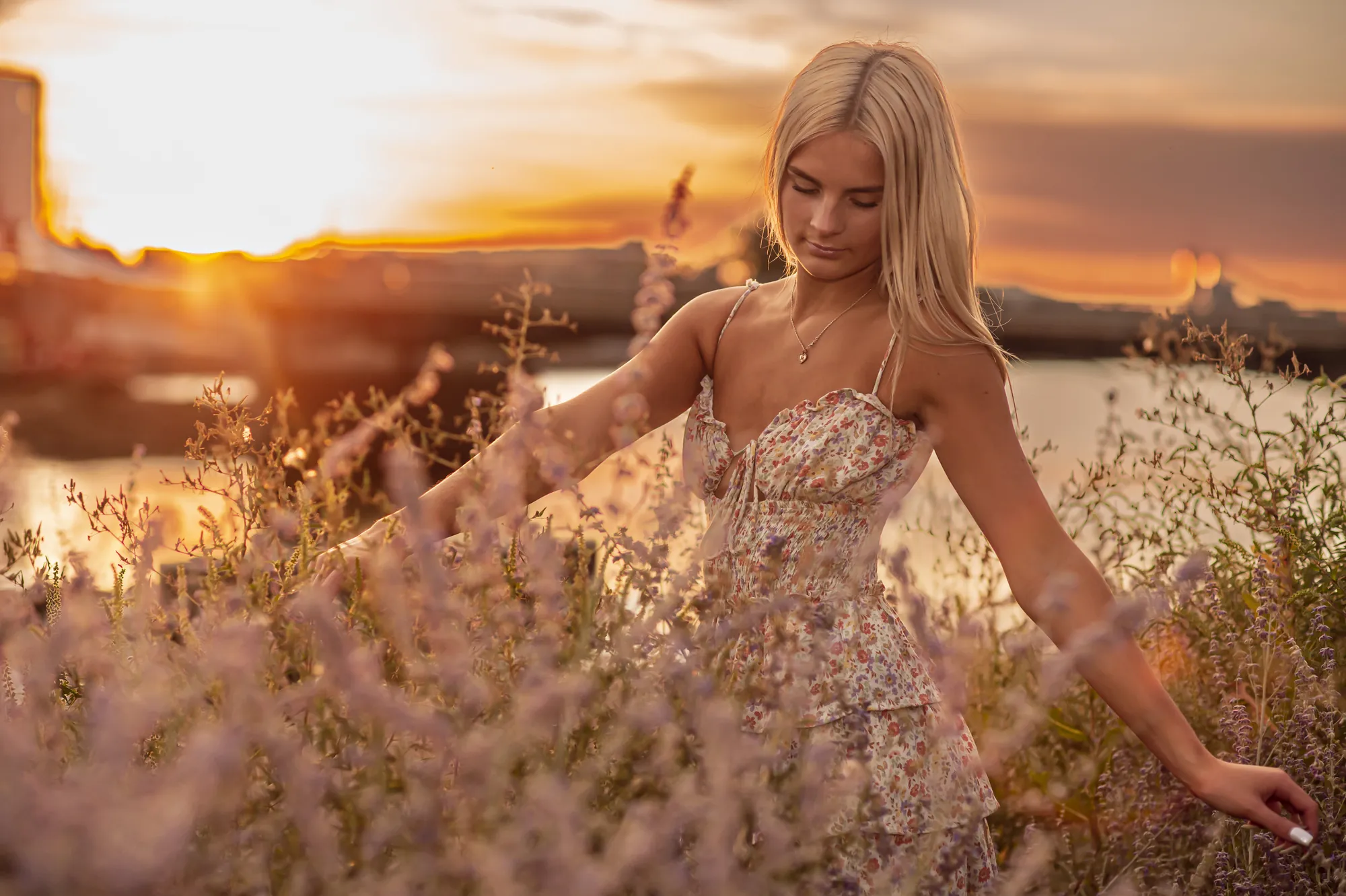 Senior pictures in the Cedar Valley at golden hour, walking through wildflowers at sunset